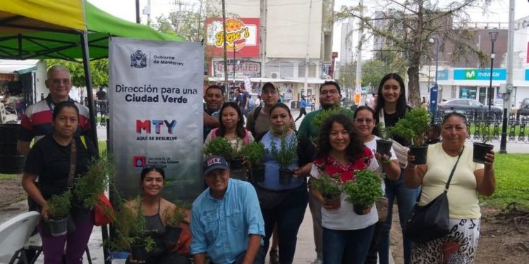 Recorrido De Arbolado Promueve Conciencia Ambiental En Monterrey