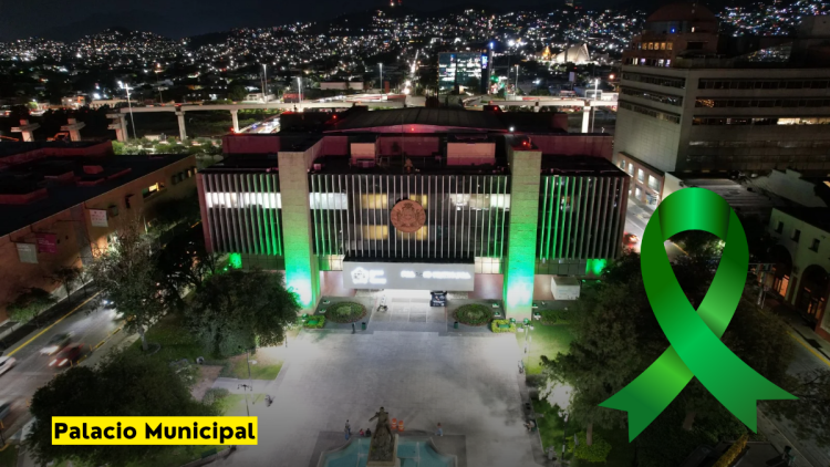 Iluminan-de-verde-al-Palacio-Municipal-en-conmemoracion-del-Dia-paraisis-cerebral