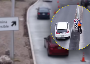 CONTRAFLUJO-PASEO-DE-LOS-LEONES