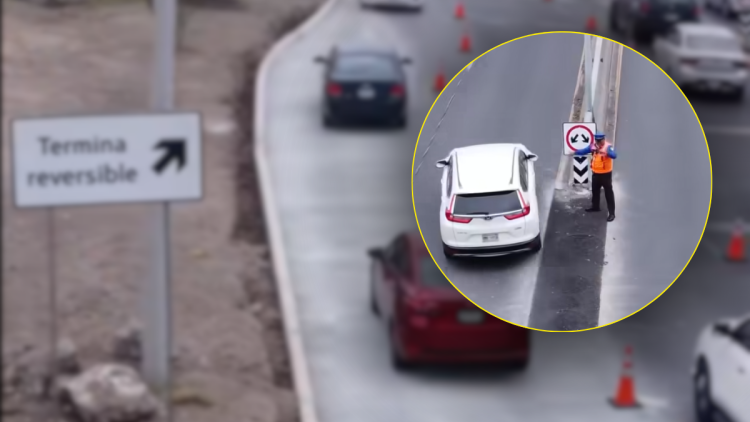 CONTRAFLUJO-PASEO-DE-LOS-LEONES