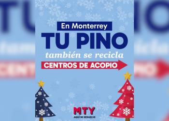 pinos-navideños-centros-de-acopio-medio-ambiente-composta