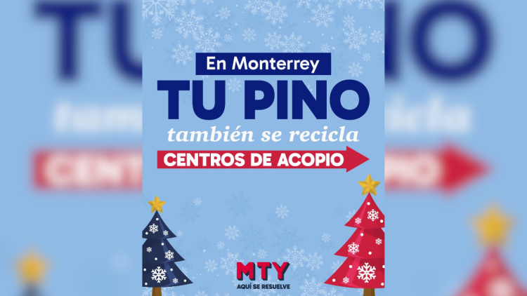 pinos-navideños-centros-de-acopio-medio-ambiente-composta