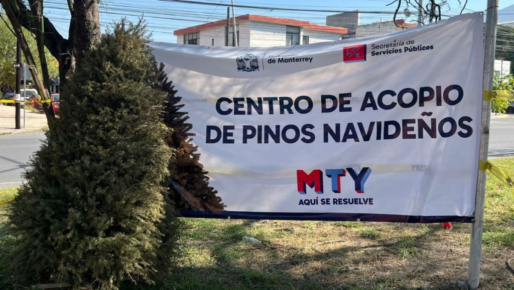 pinos-navideños-centros-de-acopio-medio-ambiente-composta