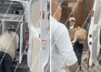 maltrato animal en edomex