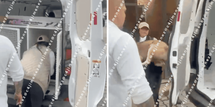 maltrato animal en edomex