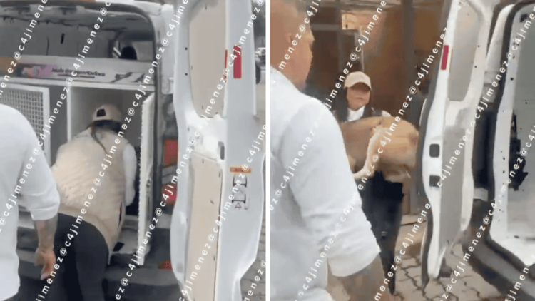 maltrato animal en edomex